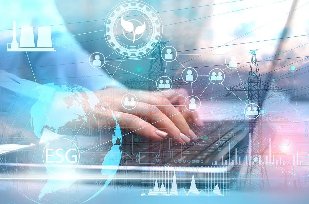 The Role of Sustainability in Business Differentiation