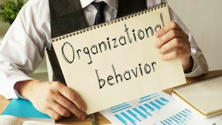 What is Organizational Behavior