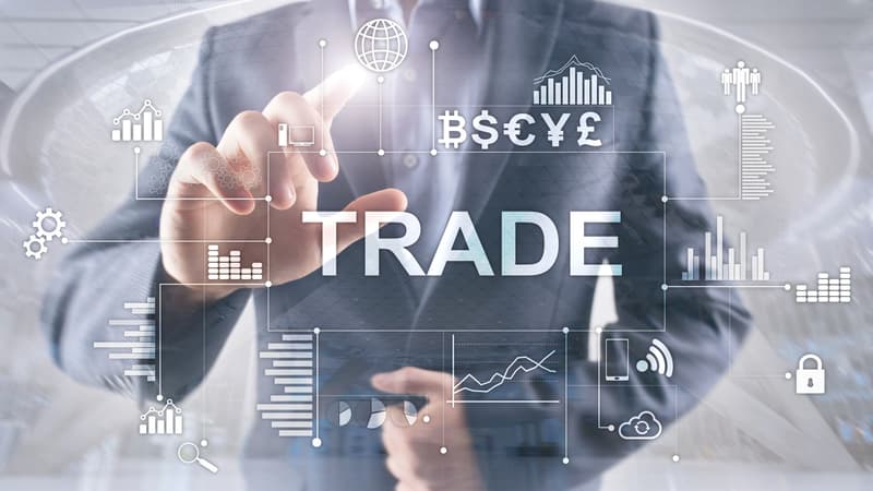 Carnivore Trading: Experience, Education, and Active Wealth Creation