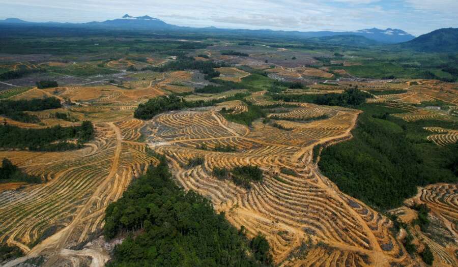 EU seeks deal on law preventing import of deforestation-linked goods