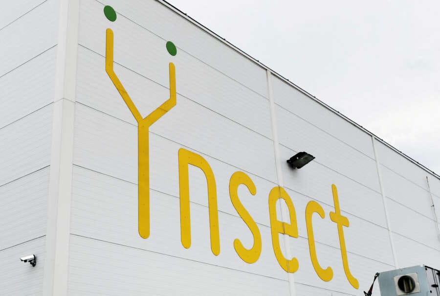 France’s Ynsect to refocus bug business after capital increase