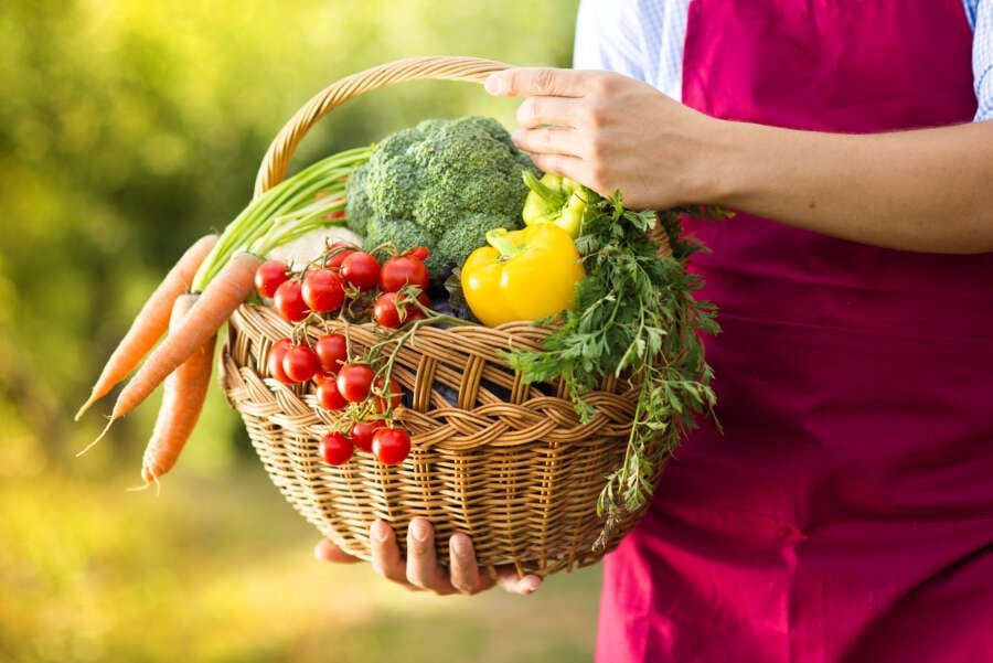 Best Large Organic Farm named at UK’s only organic awards