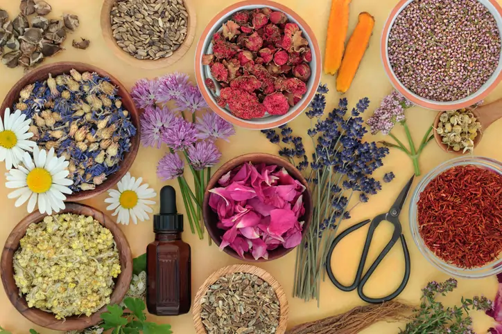 Best essential oil brands