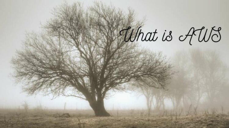 What Is AWS