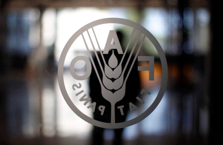 World food price index falls for sixth month in Sept -FAO