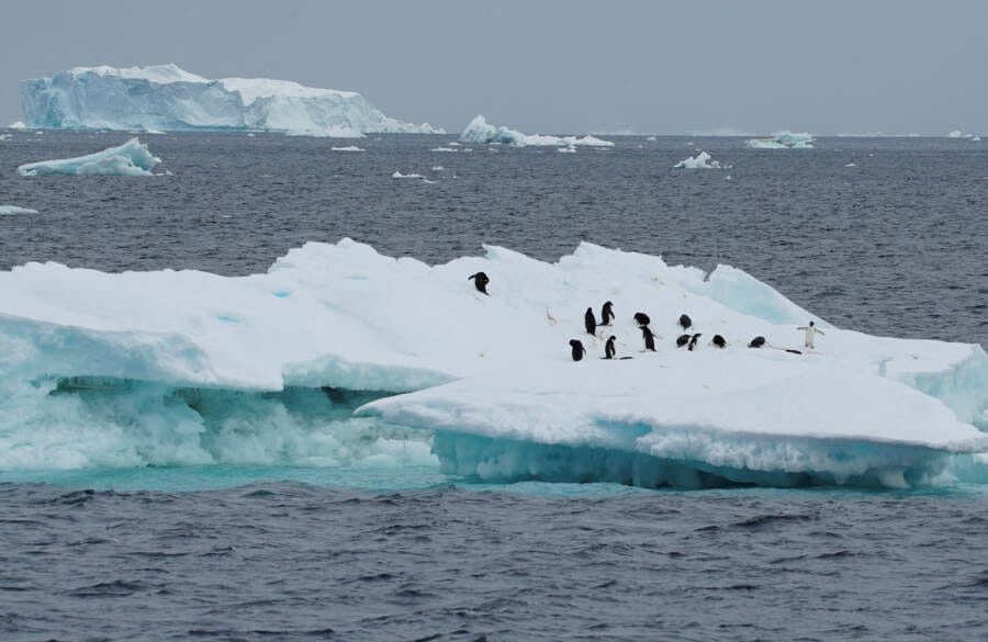 No quick fix to reverse Antarctic sea ice loss as warming intensifies – scientists