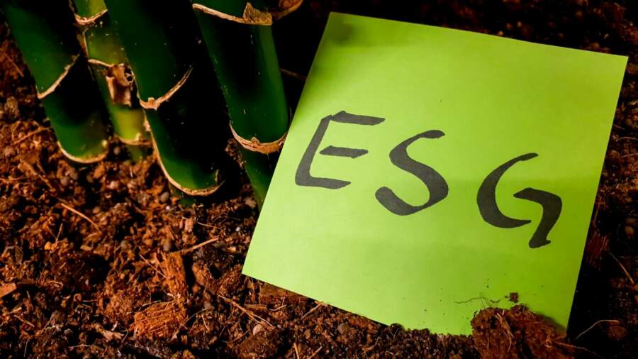 A global wake-up call: unpicking the complexities of ESG