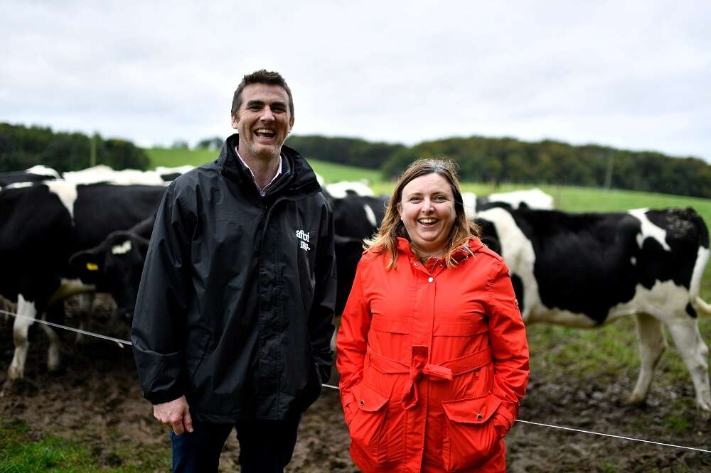 Ireland looks to seaweed in quest to curb methane from cows