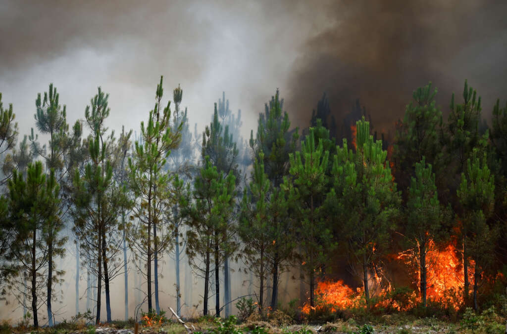 Risk of new wildfires in southwestern France as heatwave persists