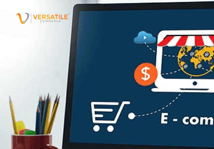 Enterprise Web Development for eCommerce: Building a Robust Online Store
