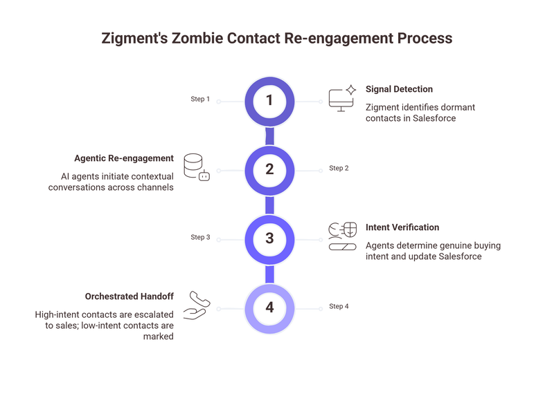 Zigment's Zombie Contact Re-engagement Process