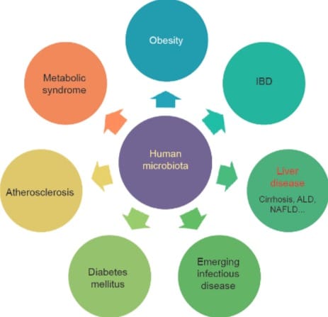 The Human Gut Microbiome and Microbiomics: Progress Towards Personalized Healthcare