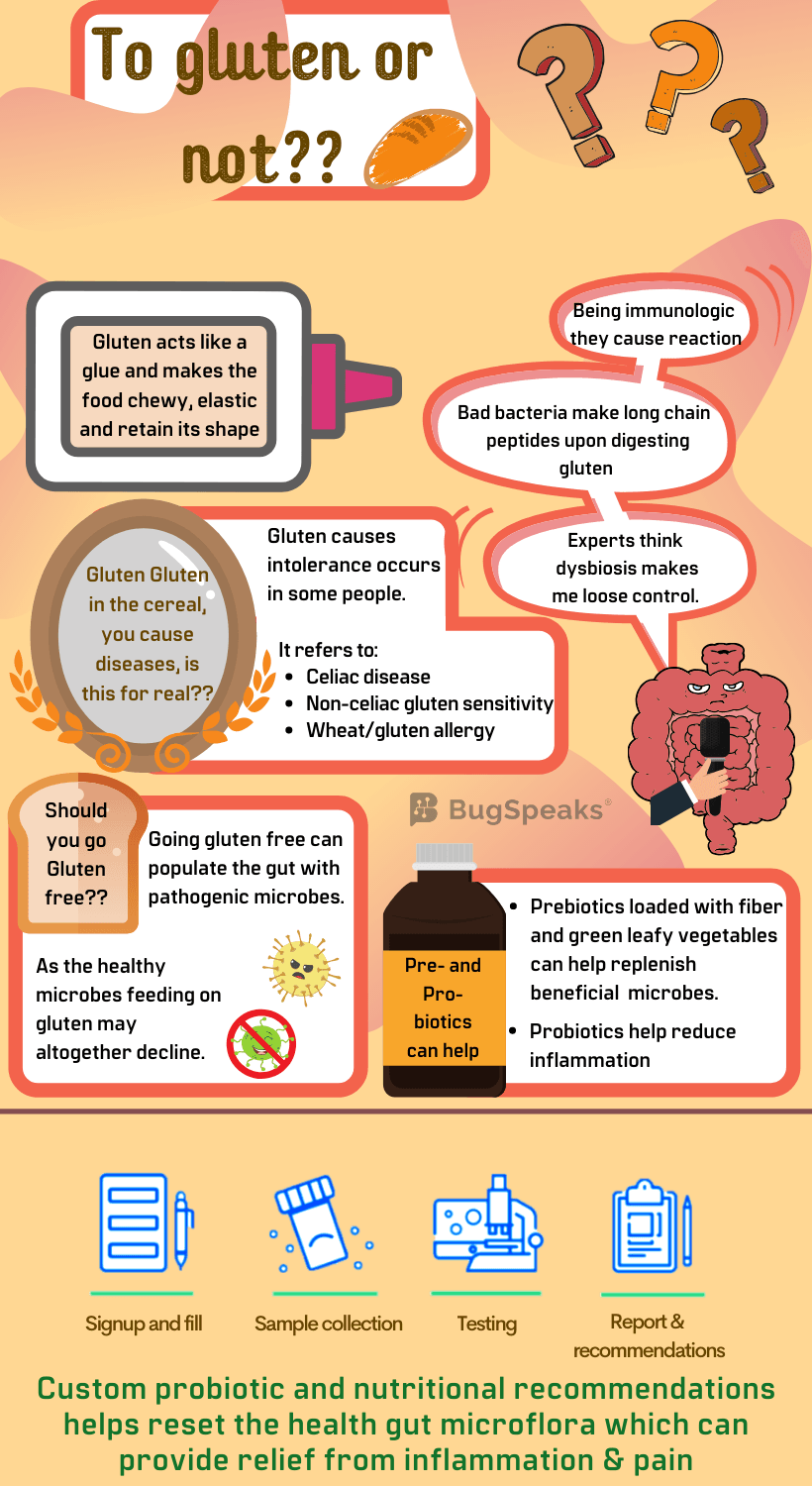 Gluten riddles the gut-land