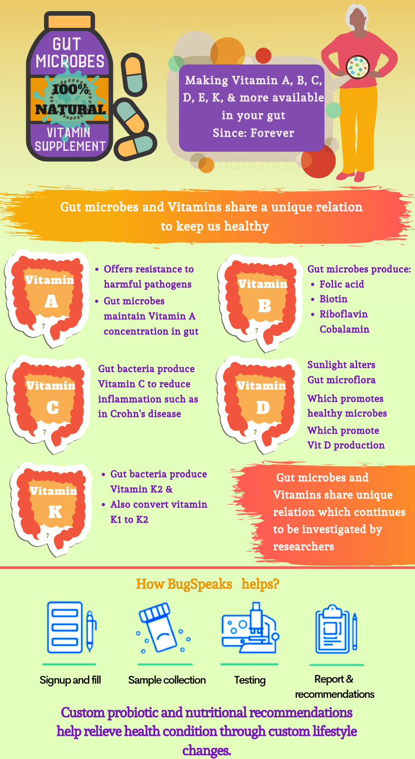 Natural Gut microbiota as an alternative to Vitamin supplements??