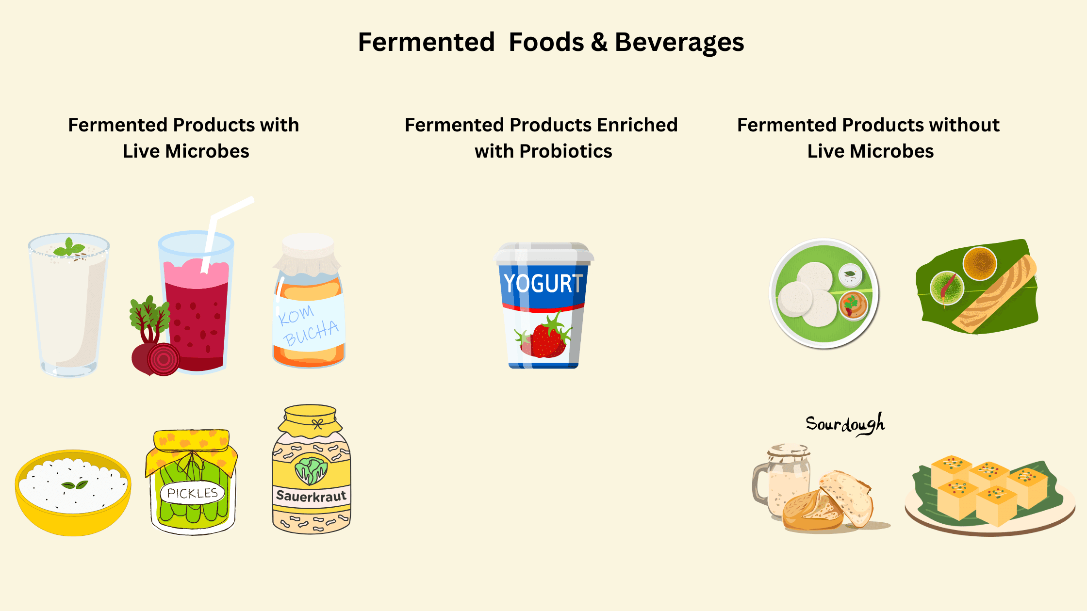 different types of fermented foods