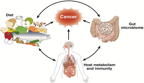 Gut Microbiome in Cancer: Exploring the Latest Developments