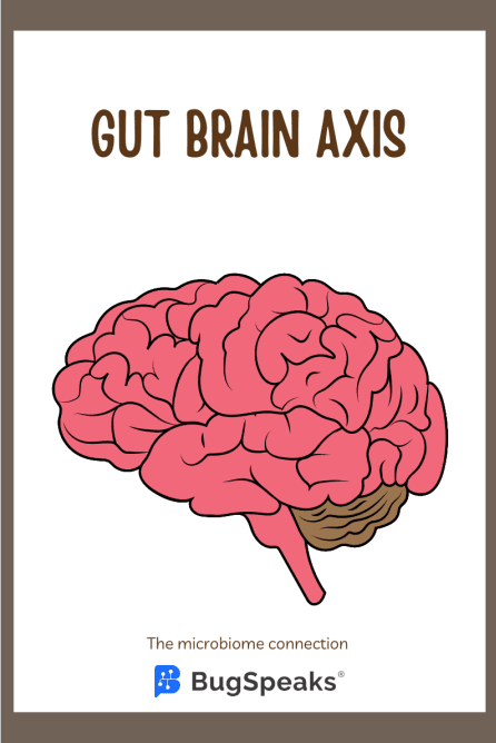 Gut Microbiome And Depression