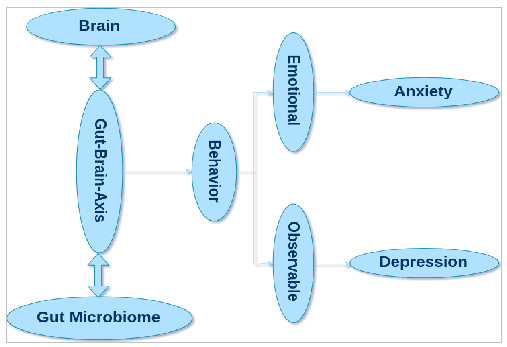 Anxiety, Depression & Gut Microbiome