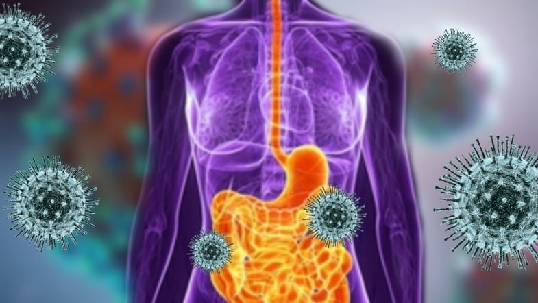 Increasing importance of Gut Health in the aftermath of COVID-19