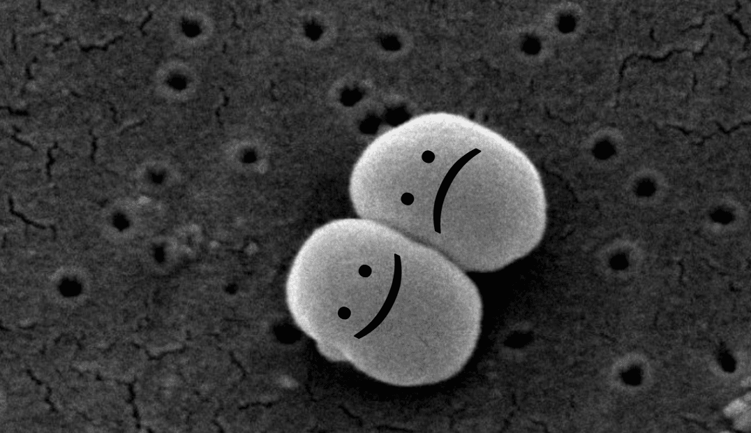 The MicroByte Series -Staphylococcus epidermidis: A Double-Edged Sword 