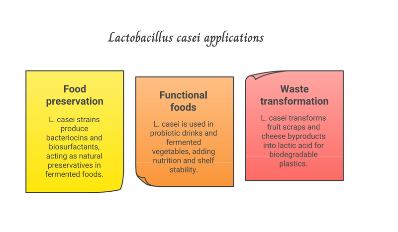 Application of Lactobacillus casei