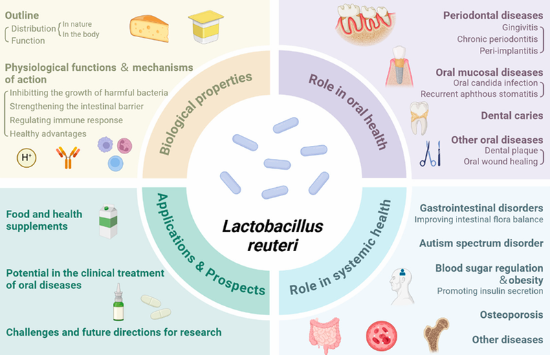 Health Benefits of Lactobacillus reuteri