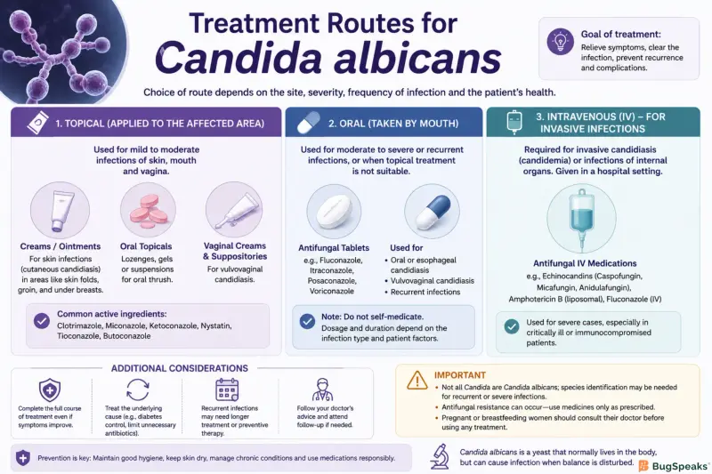 Treatment routes for Candida Albicans