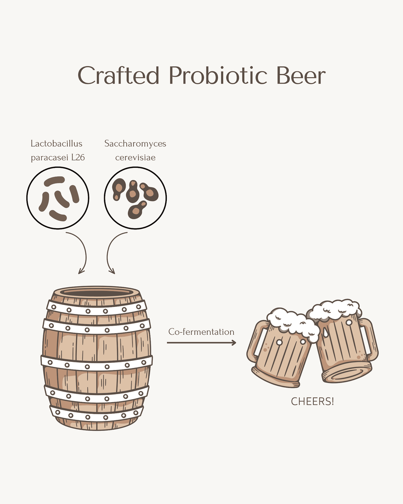 Crafted Probiotic Beer