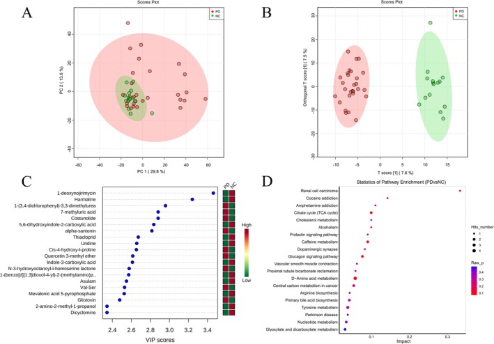 Metabolomic analysis in PD patients and normal controls, and the analysis of metabolic pathways. (A) PCA analysis describes trends in the overall distribution between samples in the PD and NC groups. (B) OPLS‐DA revealed significant intergroup discrimination between PD and NC groups. (C) VIP value plots of the differential metabolites (top 20 based on VIP value). (D) The KEGG differential metabolic pathway plot (top 20 enriched metabolic pathways based on hit count). PD, PD group; NC, Normal control group.