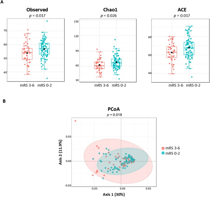 Gut microbiota differences in α‐ and β‐diversities between favorable (mRS 0–2) and unfavorable (mRS 3–6) outcomes in patients with ischemic stroke. (A) Boxplots representing class‐level α‐diversity measures (left to right): observed species, Chao1, and ACE indexes. Boxes represent the first to third quartiles, horizontal lines within the boxes show the median, and whiskers indicate variability outside the upper and lower quartiles. (B) PCoA at species‐level. The two components explain 30.0% and 11.9% of the variance. ACE: abundance‐based coverage estimator; mRS: Modified Rankin Scale; PCoA: principal coordinates analysis.
