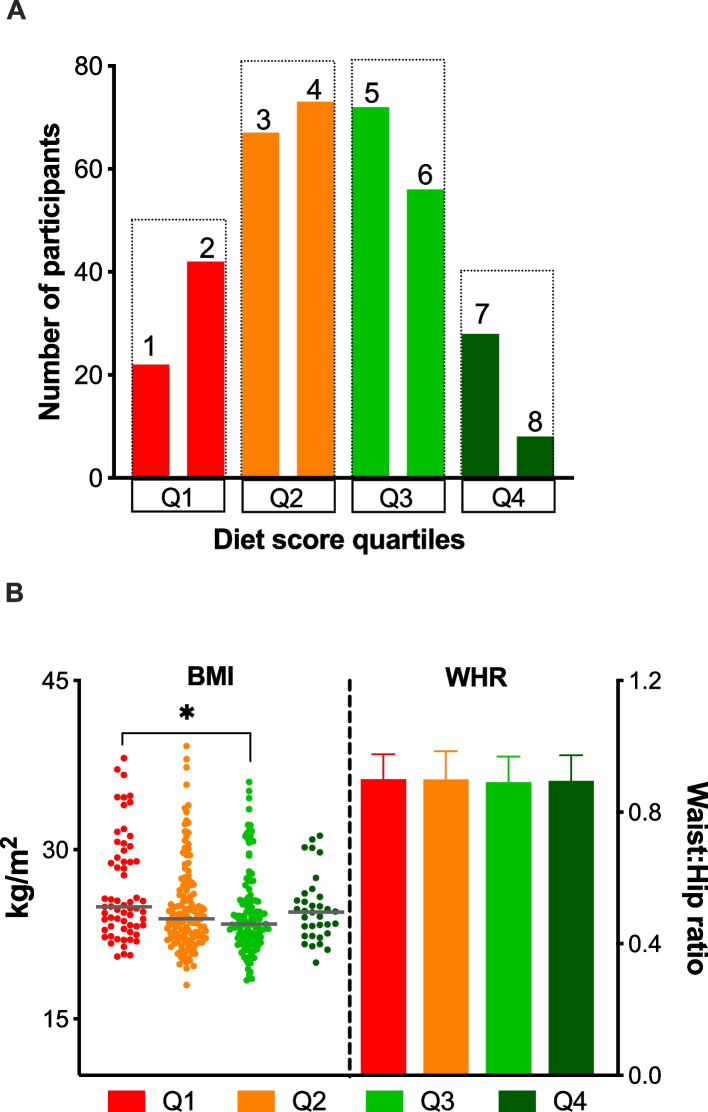 Study participants. A Distribution of study participants into different diet quartiles based on their modified Mediterranean diet score (mMDS). Q1 = 1,2 mMDS; Q2 = 3,4 mMDS; Q3 = 5,6 mMDS; Q4 = 7,8 mMDS. The diet scores ranged from 0 (least healthy) to 9 (most healthy) and was based on weekly consumption of 9 food components adjusted by total energy intake– vegetables, legumes, fruits and nuts, dairy, whole grains, meat, fish, alcohol, and fatty acid ratio. No individuals scored 0 or 9. B BMI and WHR. Abbreviations: BMI; body mass index, mMDS; modified Mediterranean diet score, WHR; waist-to-hip ratio