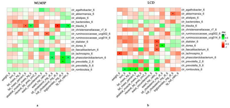 Heatmap of Spearman’s correlation coefficients between anthropometric and biochemical determinations and the abundance of microbial genera normalized by CLR after six months of intervention. The left panel (a) corresponds to the WLM3P group, and the right panel (b) to the LCD group. Each cell represents the correlation between a clinical parameter (x-axis) and a microbial genus (y-axis), with the color indicating the strength and direction of the correlation (green for positive, red for negative). Significant correlations are marked with an asterisk (*). The strength of the correlations (Spearman’s rho) is color-coded according to the scale on the right, ranging from −1 to 1.