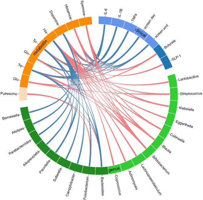 Relationships of GBA-related amino acids and biogenic amines with gut microbiota, physical activity, and biochemical parameters at baseline by circos plot. Red lines indicate positive associations, and blue lines indicate negative associations, analyzed by Spearman’s correlation coefficient with Benjamini-Hochberg correction with FDR = 0.05. GBA, gut-brain axis; Gln, glutamine; Glu, glutamate; GLP-1, glucagon-like peptide 1; His, histidine; IL-1β, interleukin-1β; IL-6, interleukin-6; Screen day, screen time on weekdays; Screen end, screen time on weekends; TNFa, tumor necrosis factor-α; Trp, tryptophan; Tyr, tyrosine.