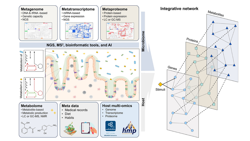 How Multi-Omics Is Changing What We Know About Gut Health
