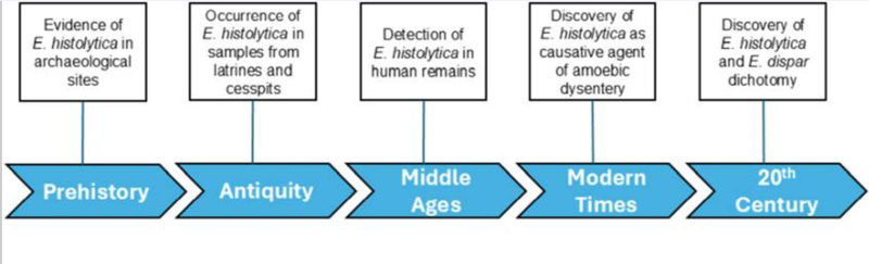 Events in the history of E.histolytica