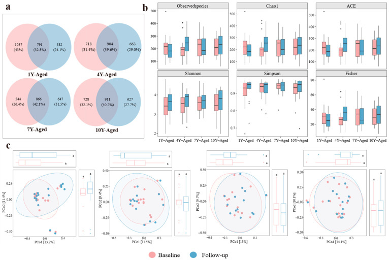 Analysis of alpha diversity and microbial community structure in gut microbiota across four LPT aging groups. (a) Venn diagram illustrating the number of unique and shared amplicon sequence variants among different LPT aging durations. (b) Boxplots presenting alpha diversity indices including observed species, Chao1, ACE, Shannon, Simpson, and Fisher metrics across the four groups. (c) Principal coordinate analysis depicting variations in gut microbial community composition among the 1-year-, 4-year-, 7-year-, and 10-year-aged groups before and after intervention. The letter “a” is employed as part of the letter labeling system to denote statistical significance. Specifically, values sharing the same letter indicate no significant difference at the 0.05 level (p > 0.05), whereas those bearing different letters indicate a statistically significant difference (p < 0.05).