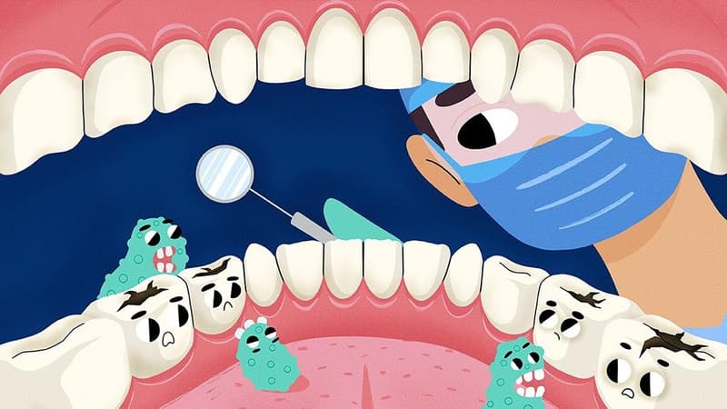 The Bridge Between Sweets and Cavities: Your Oral Microbiome