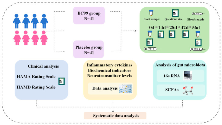 The flow chart of the clinical trial study.