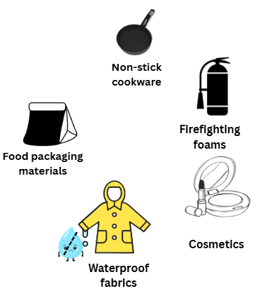 PFAS containing cookwear