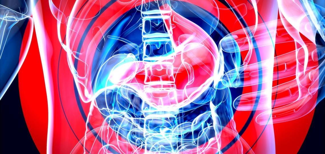 How to Improve Your Gut Health Based on Your Microbiome Analysis Results