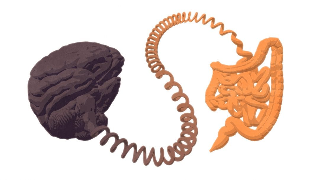 Leaky Gut Syndrome: Causes, Symptoms, and Treatment Options