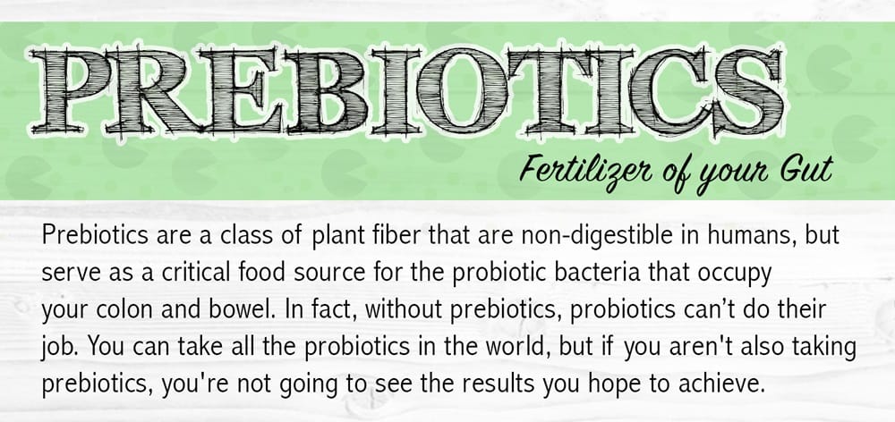 On Prebiotics