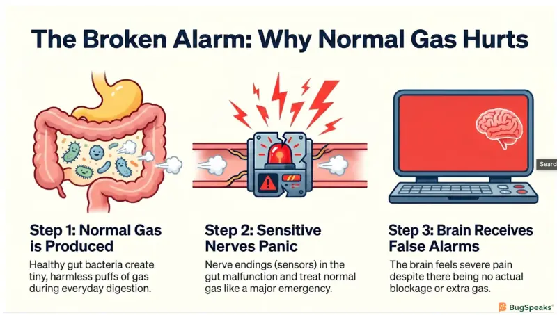 The Broken Alarm