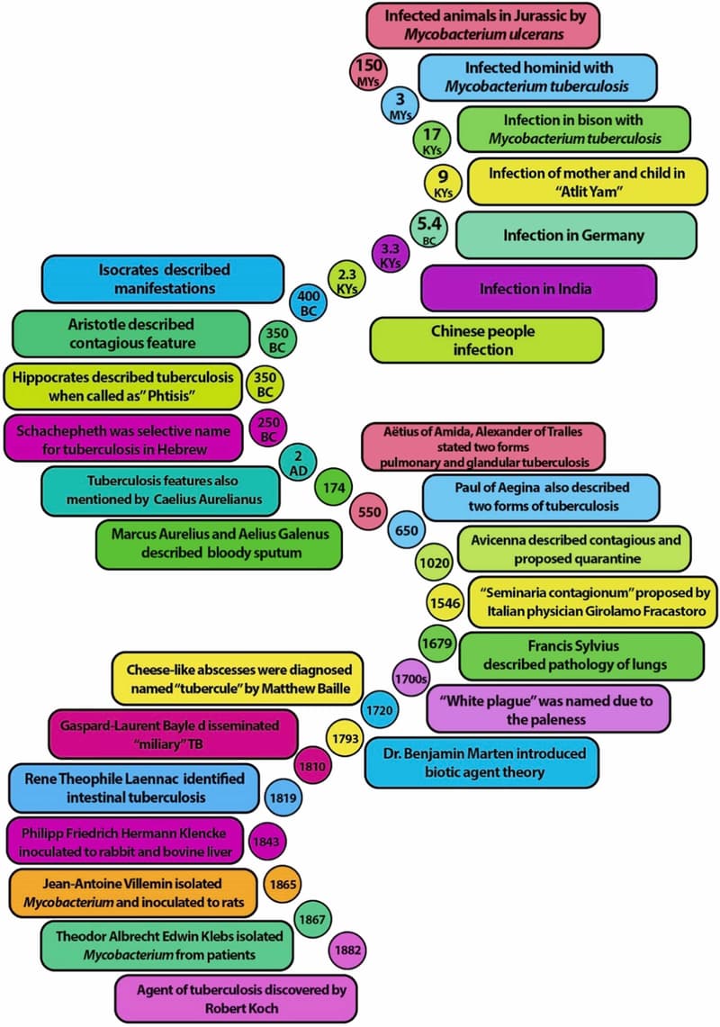 Time line of Tuberculosis and Discovery of Mycobacterium tuberculosis