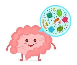 Why Your Gut Wants You to Eat Seasonally