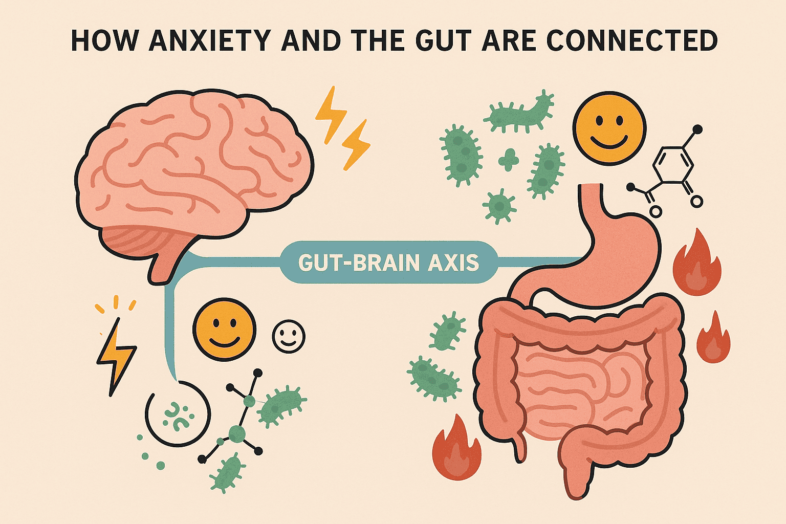 Anxiety isn’t all in your head, it’s also in your gut !

