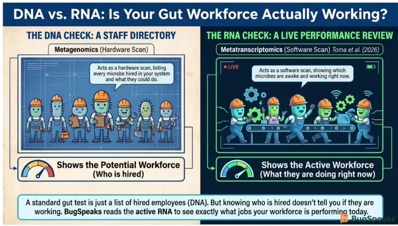 DNA vs RNA: Is your Gut Workforce Actually Working?