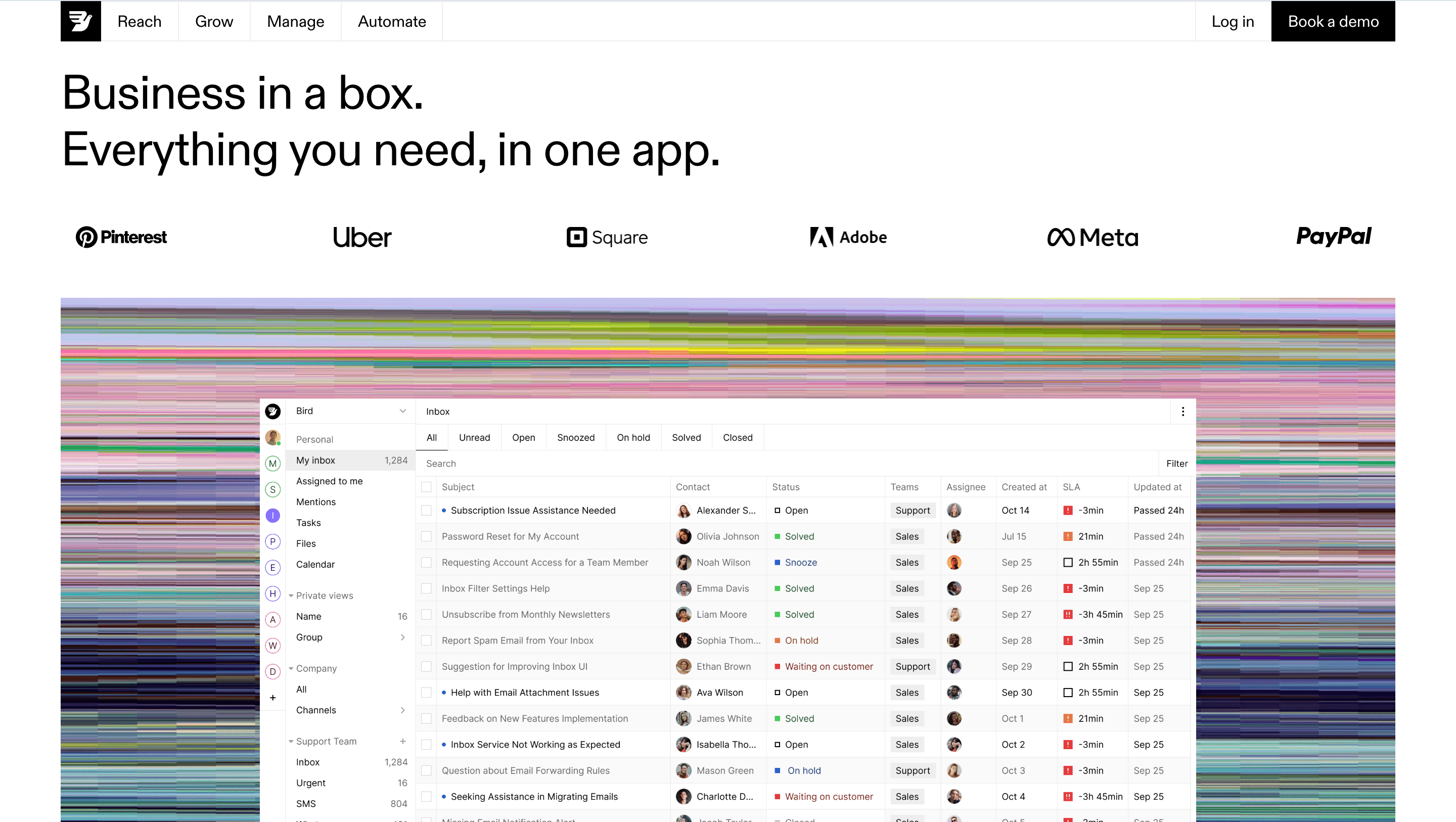 WhatsApp bulk message sender - Bird