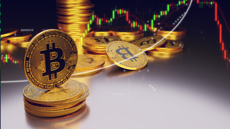 delta exchange alternatives in India