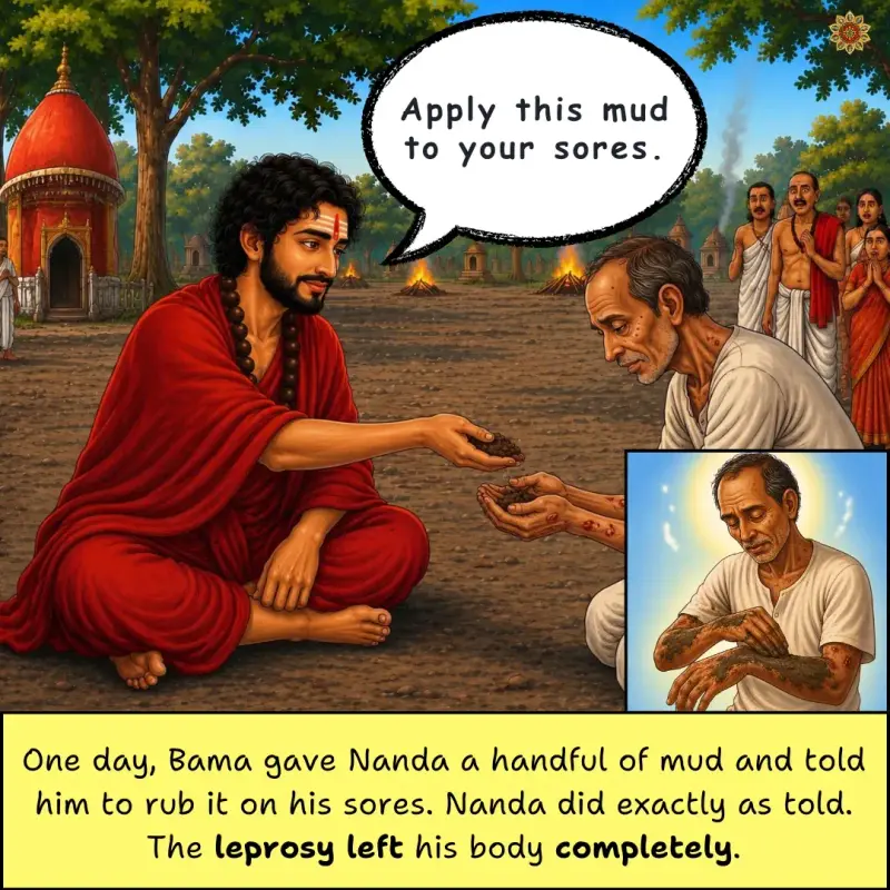 6 (7)